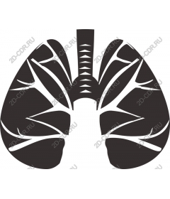  Human lungs
