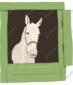 White horse in the window of the stables
