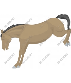 Dynamic horse in mid-jump