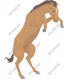 Majestic risers on a rearing horse