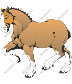 Dynamic Horse