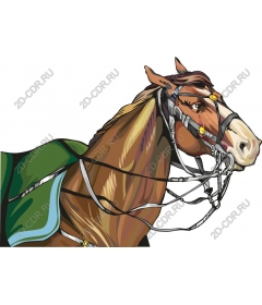  The Majestic Horse