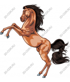 Majestic risers on a rearing horse