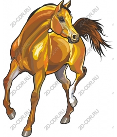  The Majestic Horse