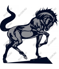 Majestic stallion
