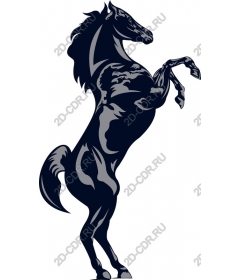 Majestic risers on a rearing horse