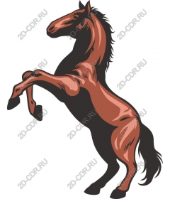  The Majestic Horse