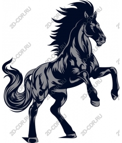 Majestic risers on a rearing horse