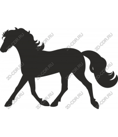 The Majestic Horse