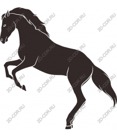 Majestic risers on a rearing horse