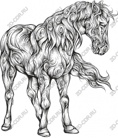  The Majestic Horse