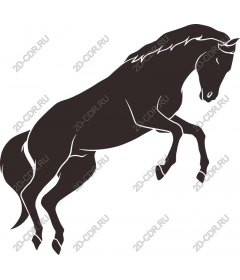  The Majestic Horse