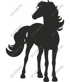  The Majestic Horse
