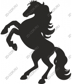 Majestic risers on a rearing horse
