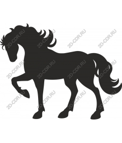  The Majestic Horse