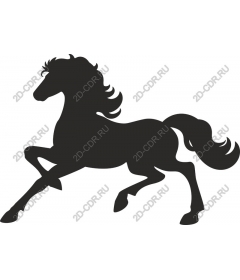Prancing Horse