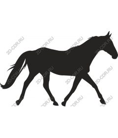  The Majestic Horse