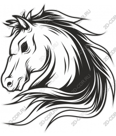  The Majestic Horse