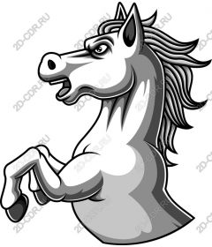 The Majestic Horse