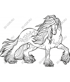  The Majestic Horse