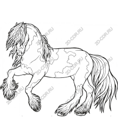  The Majestic Horse