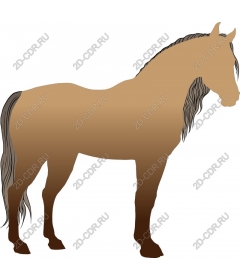  The Majestic Horse
