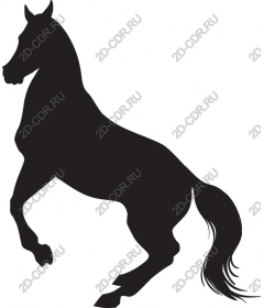 Majestic risers on a rearing horse