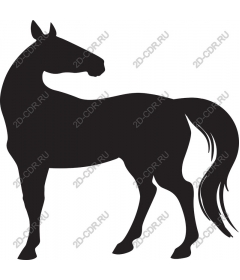  The Majestic Horse