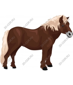  Charming Brown Pony