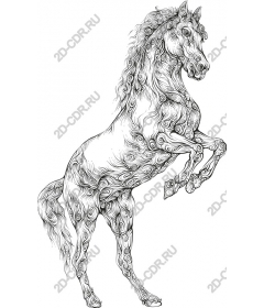  Величественная лошадь Line Art