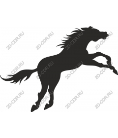 Rapidly rising horse