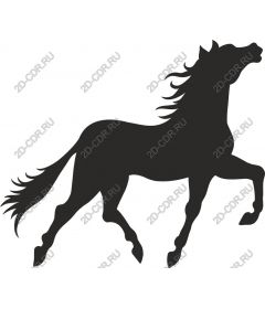 The Majestic Horse