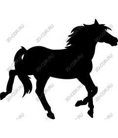  The horse - a Dynamic running horse