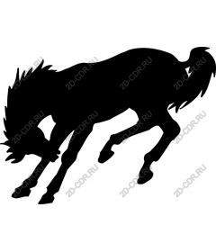 Dynamic Horse