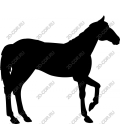  Working on horses