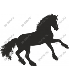 The Majestic Horse
