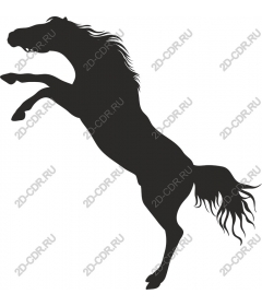 Majestic risers on a rearing horse