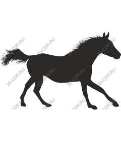 Trotting horse