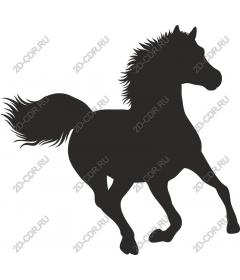 The Majestic Horse