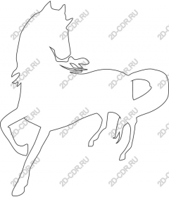 The Majestic Horse