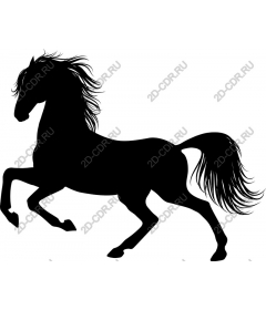  The Majestic Horse