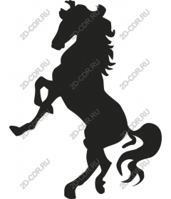 Majestic risers on a rearing horse