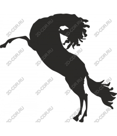  The Majestic Horse