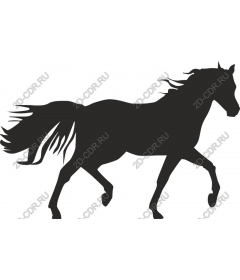 The Majestic Horse