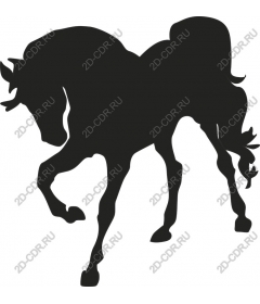 The Majestic Horse