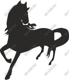  The Majestic Horse