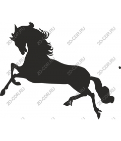Majestic risers on a rearing horse