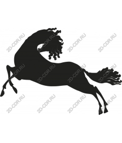  Black stallion