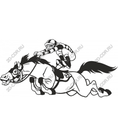 Dynamic racing jockey