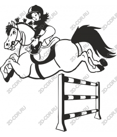 Dynamic horse jumping